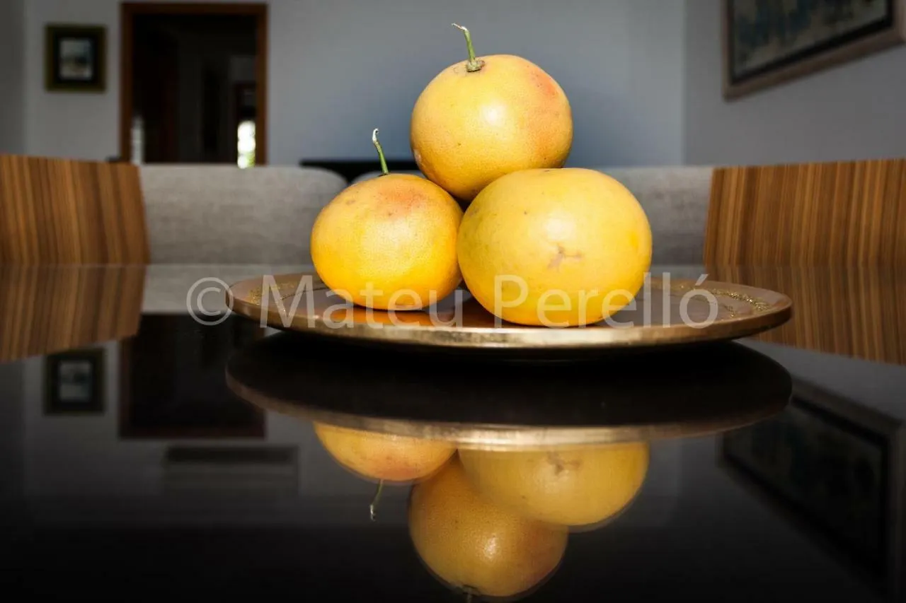 Can Parrago Villa Can Picafort  0*, Can Picafort (Mallorca) Spanien